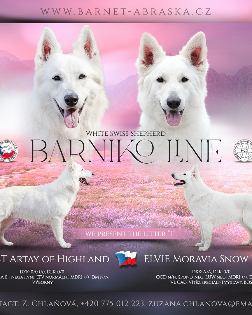 A998444F F931 4E13 BD18 6DC89F25F200