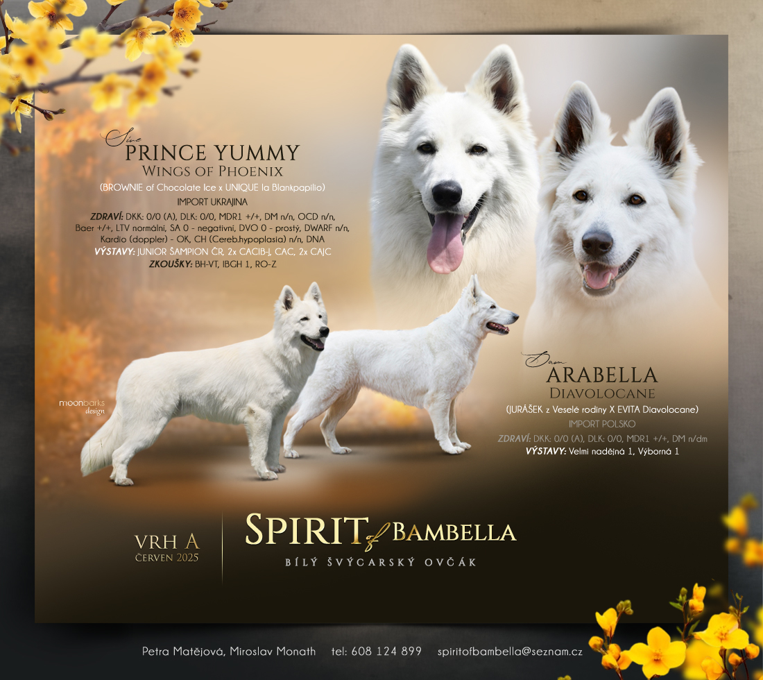spirit of bambella